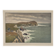 Lithograph by Henri Rivière Aspects of Nature - Cape Town