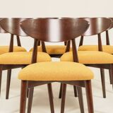 Ocra Dining Chairs set of 6, yellow bouclè fabric, Dark wood