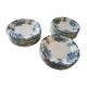 36 Sully model flat plates