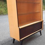 Vintage showcase library