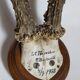 Scandinavian hunting trophy old 30 years