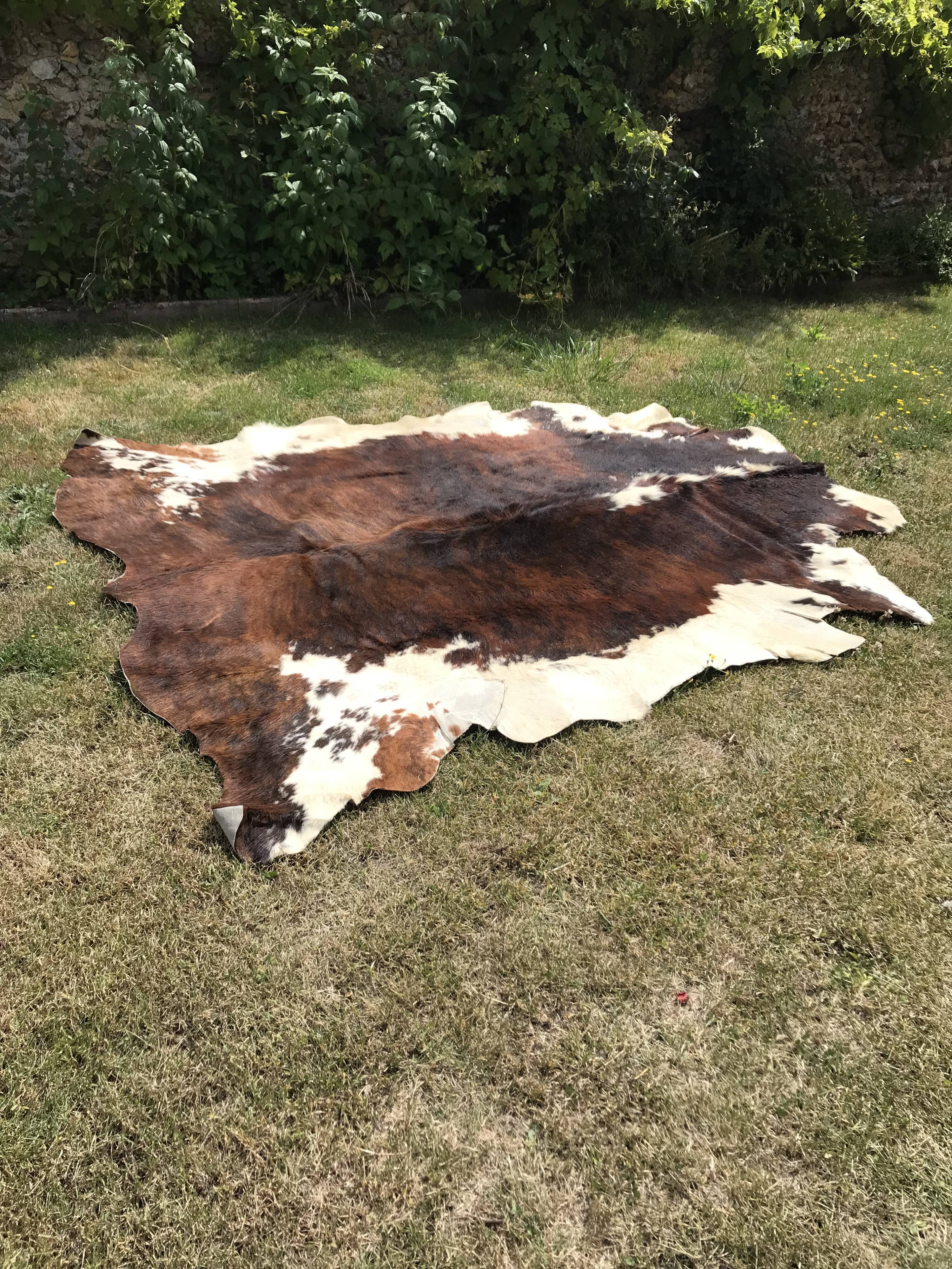 Vintage two-tone cowhide carpet