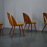 1960s Antonin Suman set of four dining chairs in walnut finish, Czechoslovakia