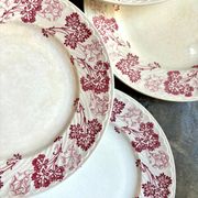6 Lunéville flat plates in pink ironstone, "Jeannette" service