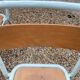 Lot de 6 chaises Tolix bleu ciel