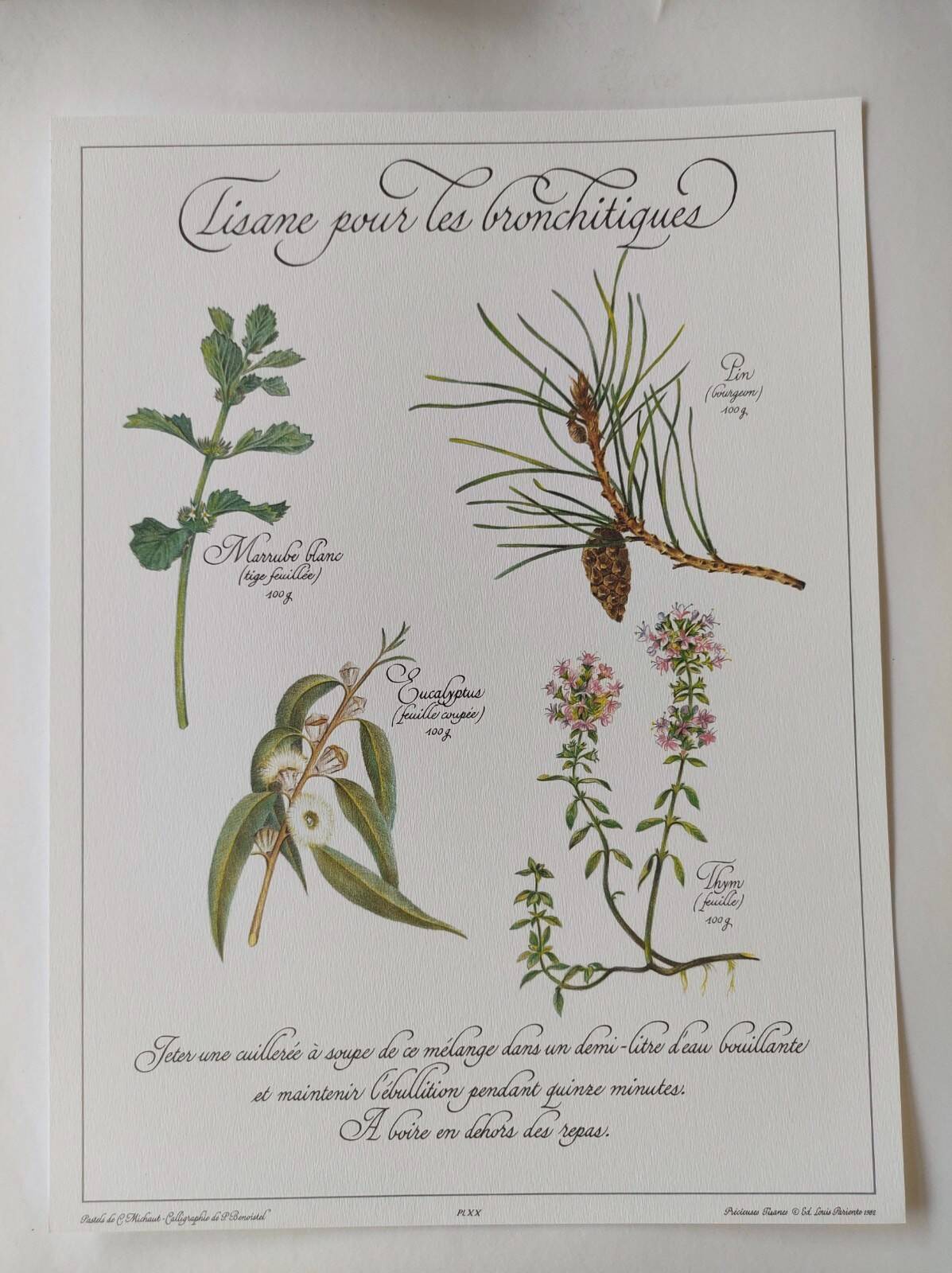 Botanical printing -Catarrh herbal tea- Engraving of medicinal plants and herbs
