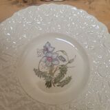 Set of 4 royal cauldom plates