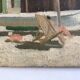 Beach scene 1960 cote d'azur