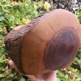 Olive tree cup by Tony Bain, Vallauris