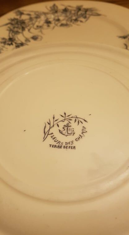 Set of 2 plates in Iron Earth SG model Fleurs des Champs