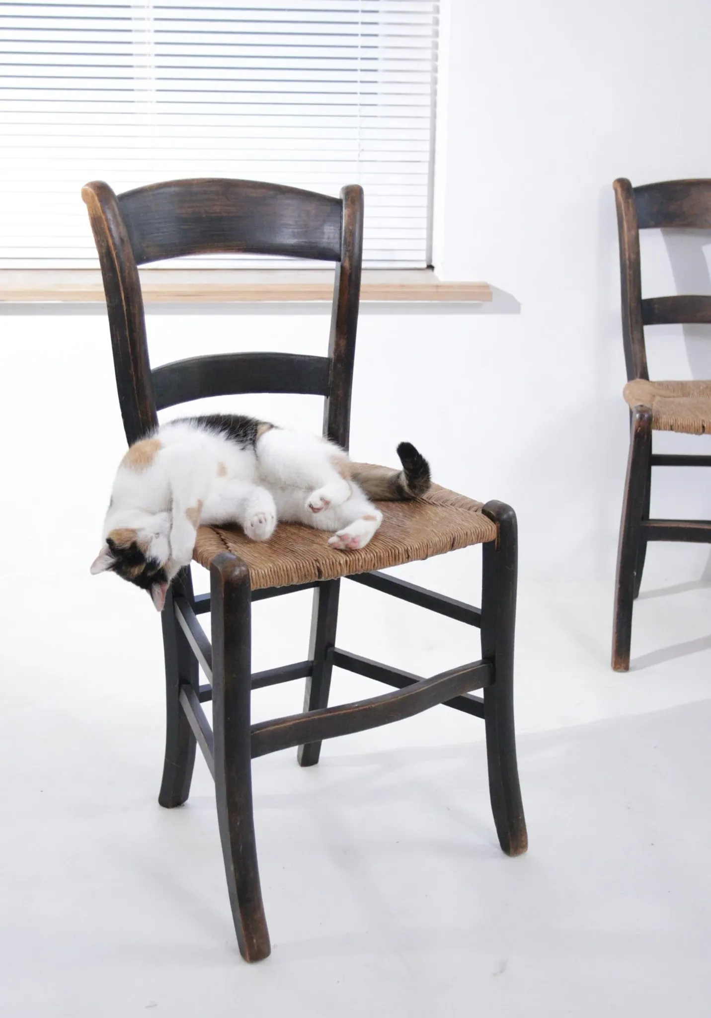 Set of 2 rustic French chairs with rush seats