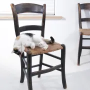 Set of 2 rustic French chairs with rush seats