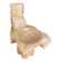 Rare antique alabaster ashtray, South American