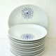 Set of 12 flat plates and 1 Bareuther dish