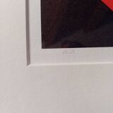 Friedrich Geler Geometry