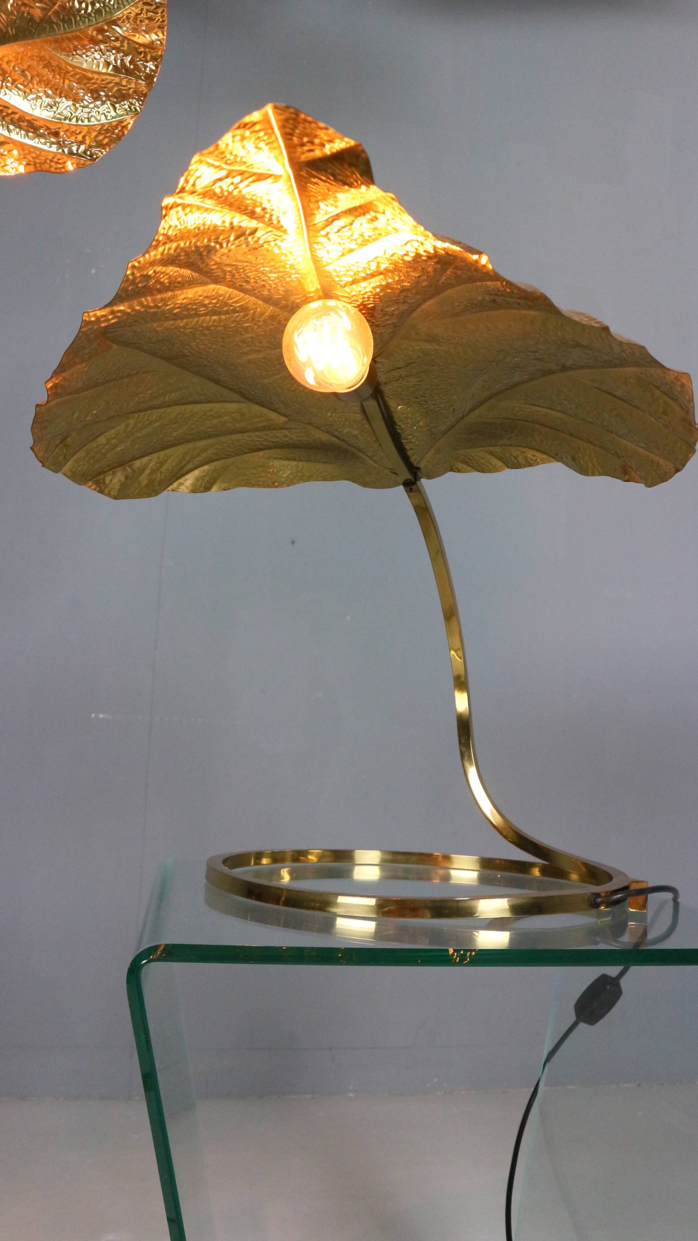 Tommaso Barbi "Rhubarb" floor and table lamp by Bottega Gadda Italy, 1970