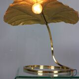 Tommaso Barbi "Rhubarb" floor and table lamp by Bottega Gadda Italy, 1970