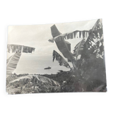 Ancienne photo îles australes
