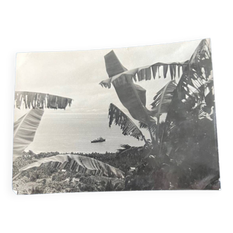 Old photo of the southern islands