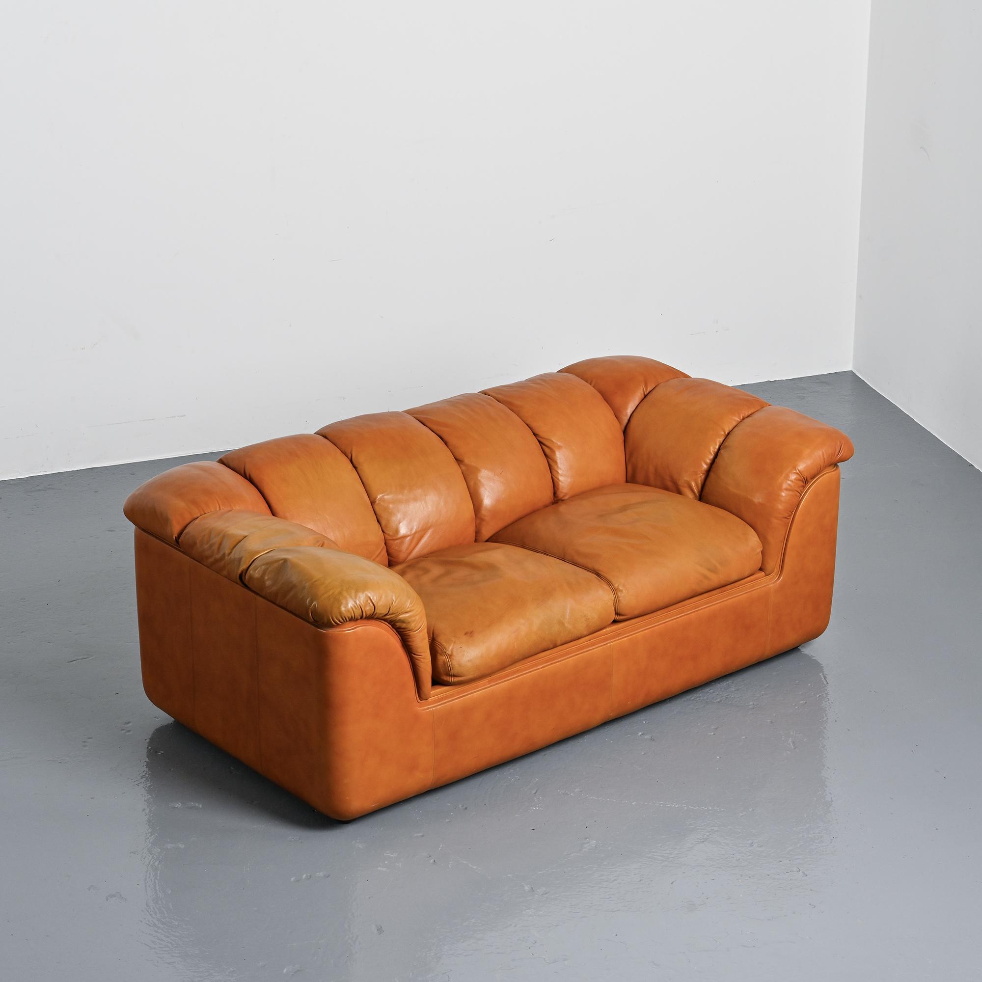 Cocker sofa in leather, Franco Bresciani for Poltrona Frau, 1970s