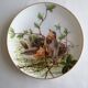 Haviland porcelain plate bird collection