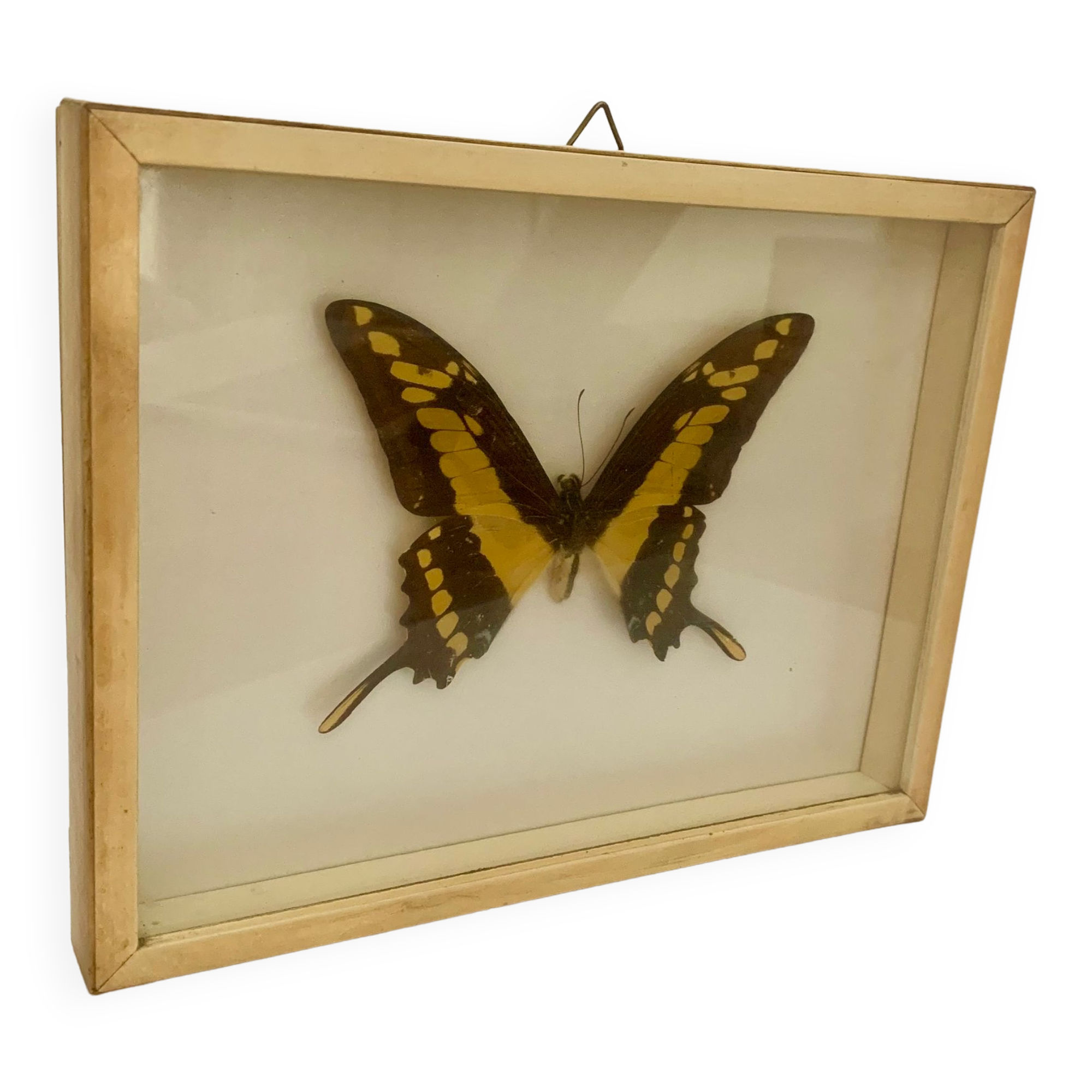 Butterfly wall frame