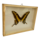 Cadre mural papillon