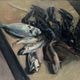Still life with lobsters and fish, oil on canvas signed