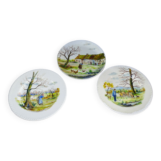 Hand-painted plates