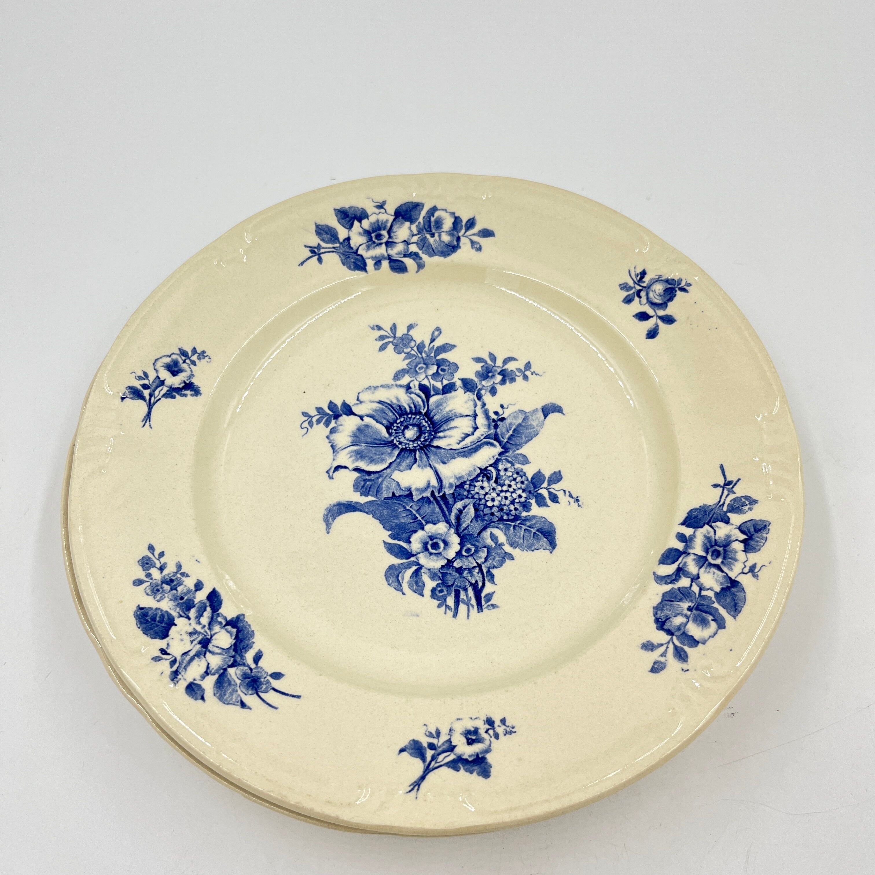 Set of 20 plates Boch Frères décor Rhodia