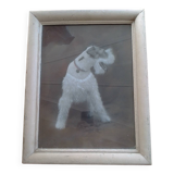 Tableau pastel chien fox terrier