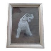 Tableau pastel chien fox terrier