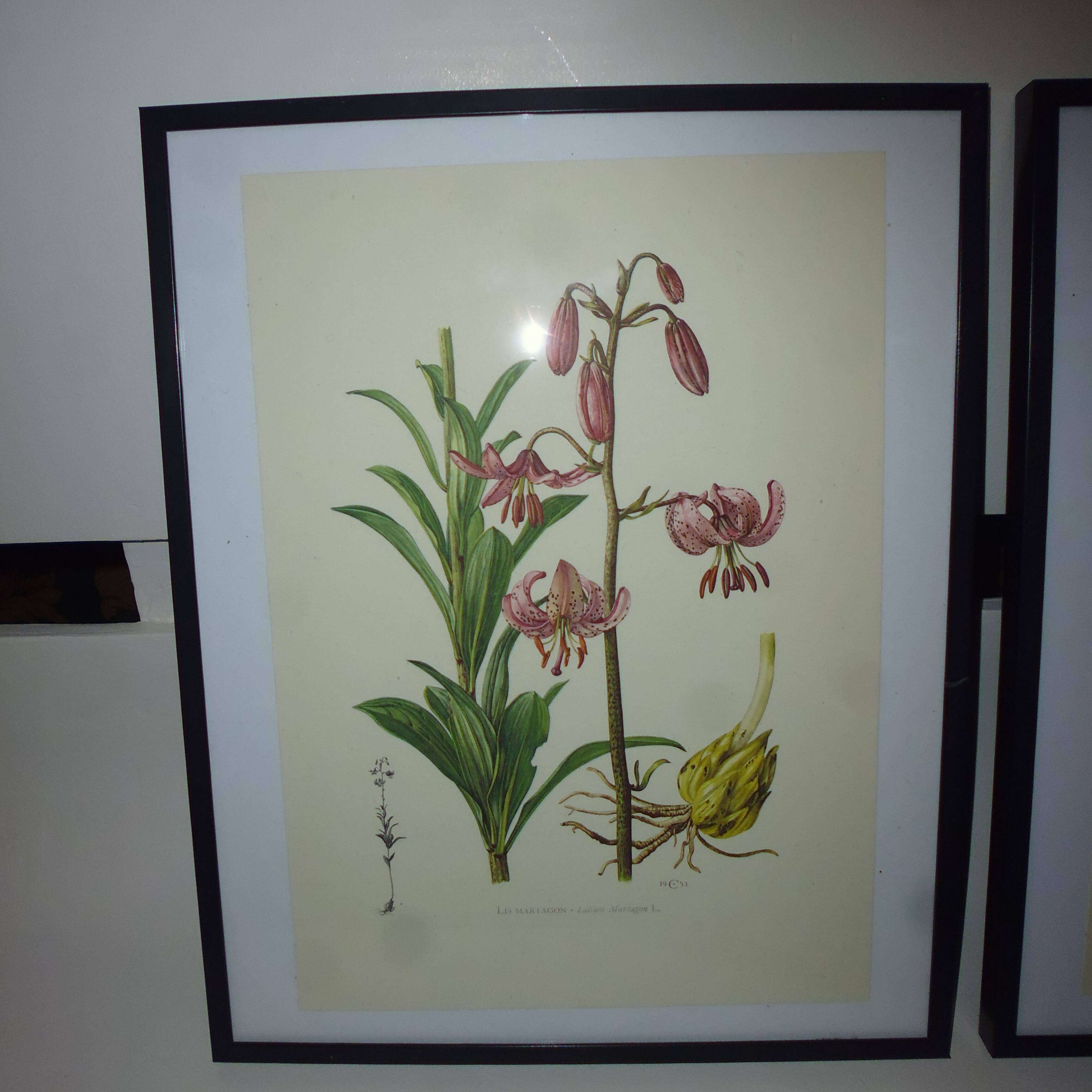 3 pink flower planks framed cyclamen, woolly ciss, lilies