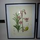 3 pink flower planks framed cyclamen, woolly ciss, lilies