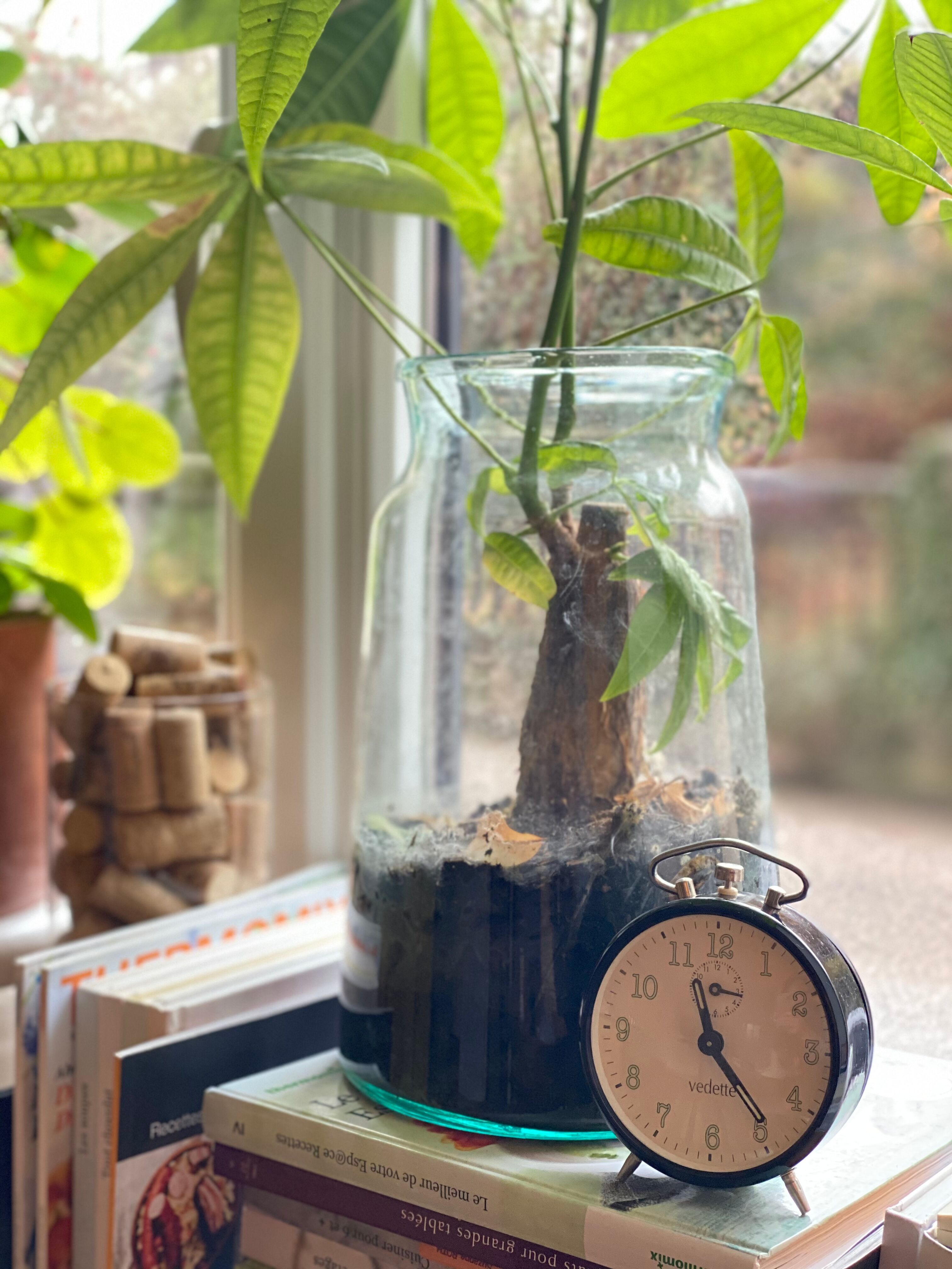 Vedettz mechanical awakening