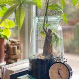 Vedettz mechanical awakening