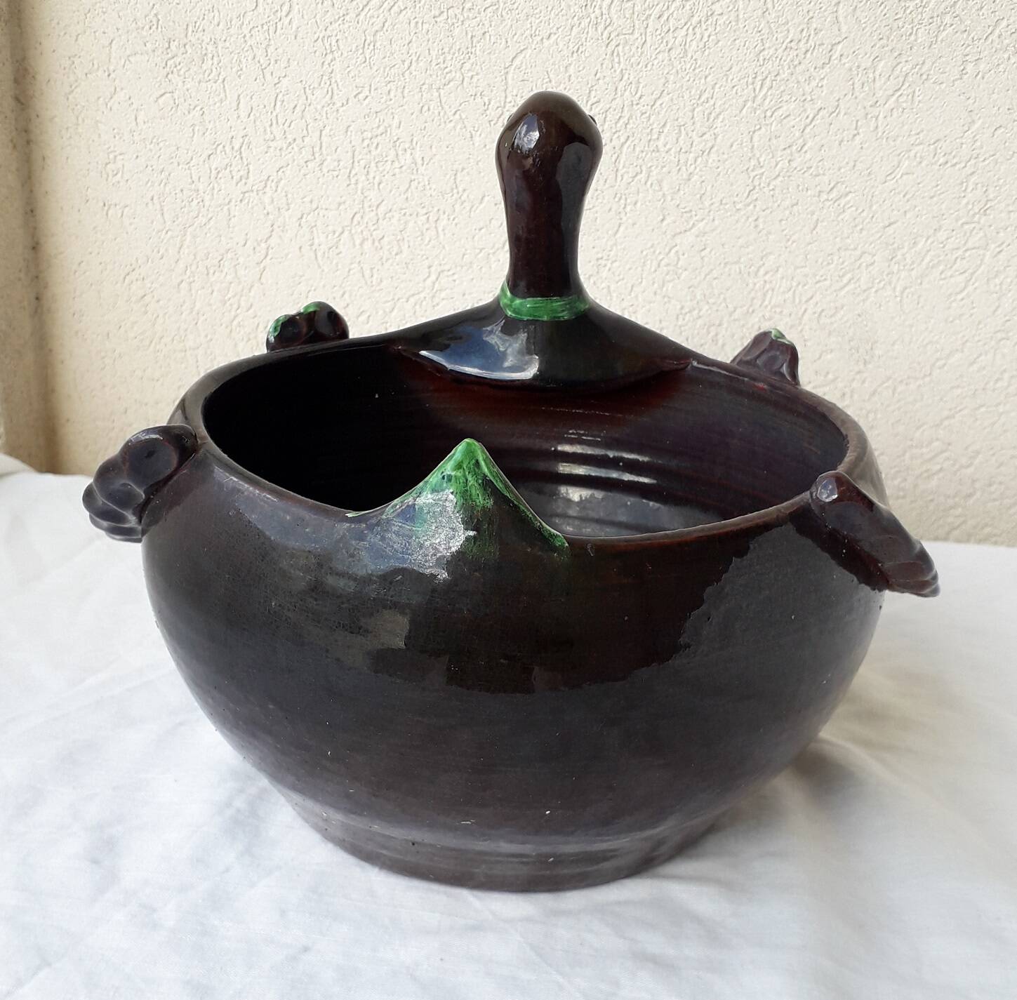 Terracotta plant pot