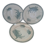 3 old Terre de fer plates