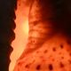 Vintage Shell Lamp