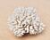 Vintage natural white coral, 1970s