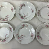 6 assiettes creuses en porcelaine décor floral