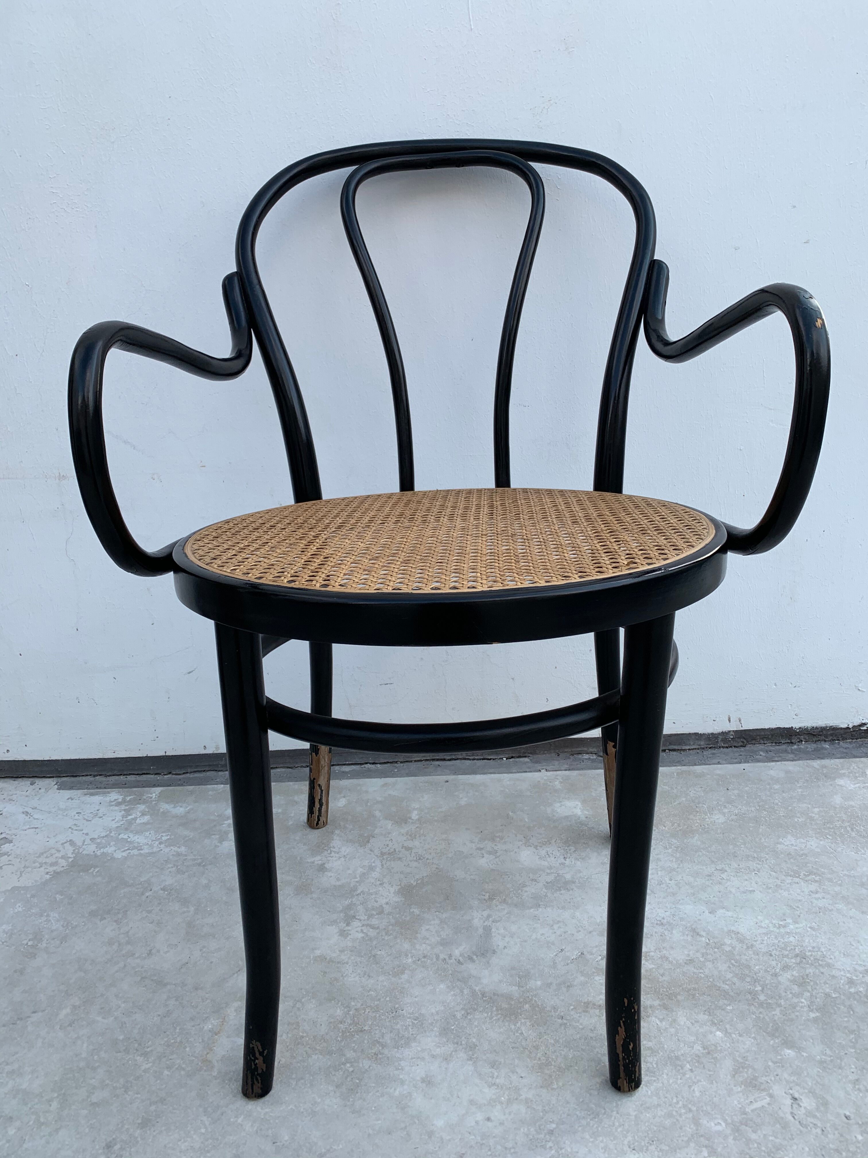 Tuna chair model 1018 in black curved wood and canning 1930