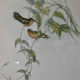 Pair of framed lithographs, birds