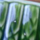 5 earthenware asparagus plates