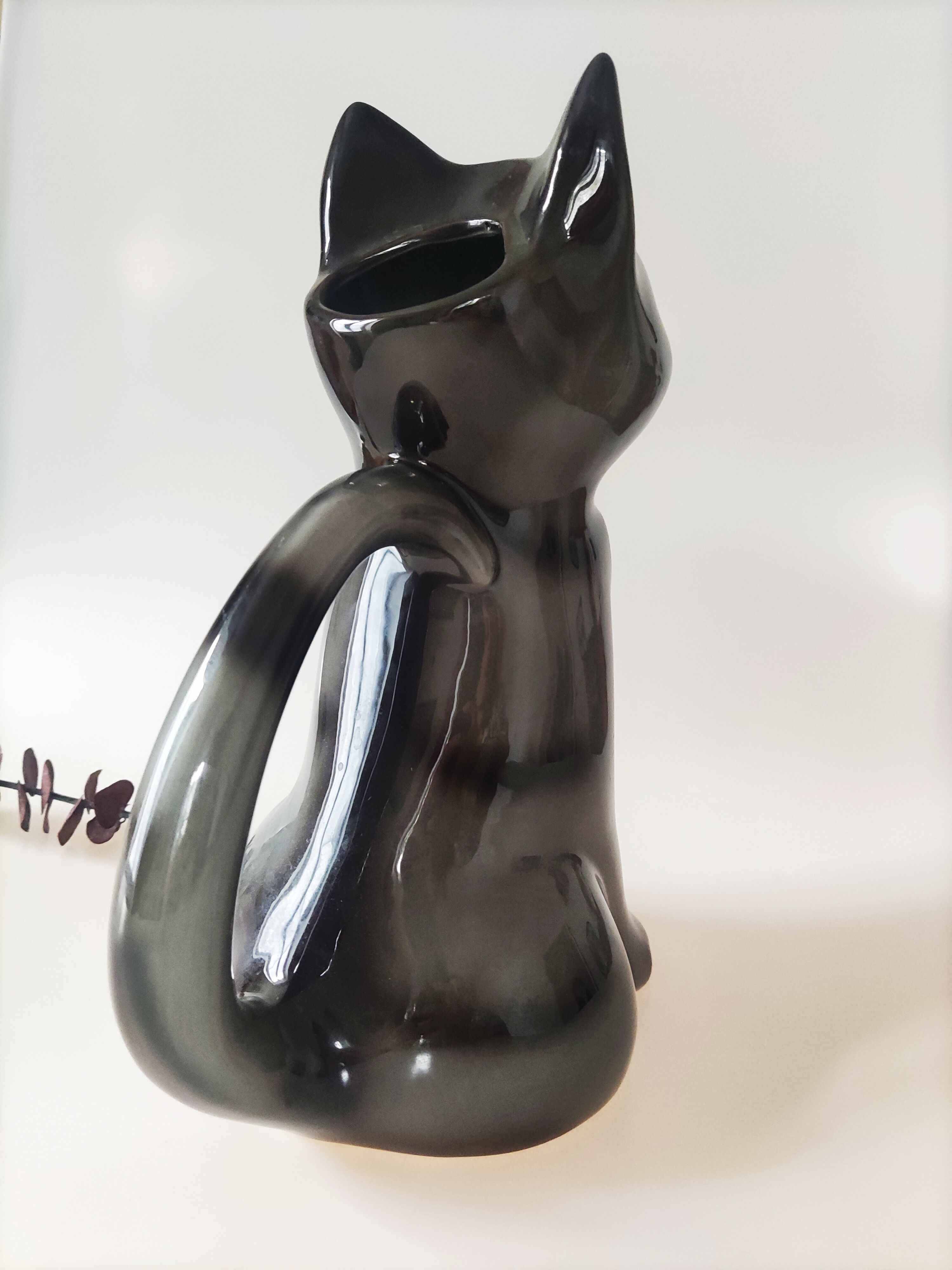 Pitcher jug slurry cat