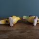 Salt shaker zoomorphic parakeet bird