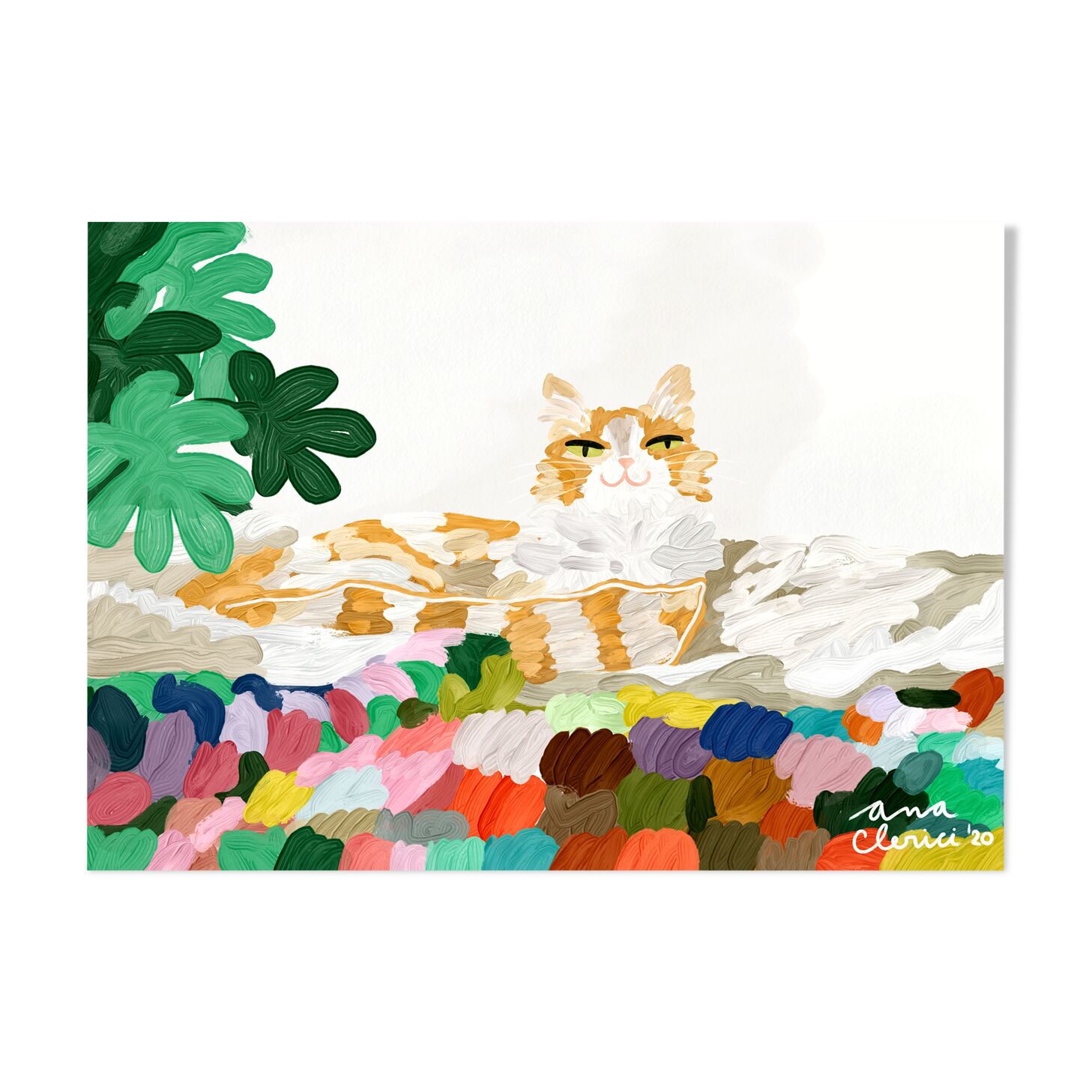 Chat orange