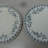 Set of 2 flat plates campanula pattern