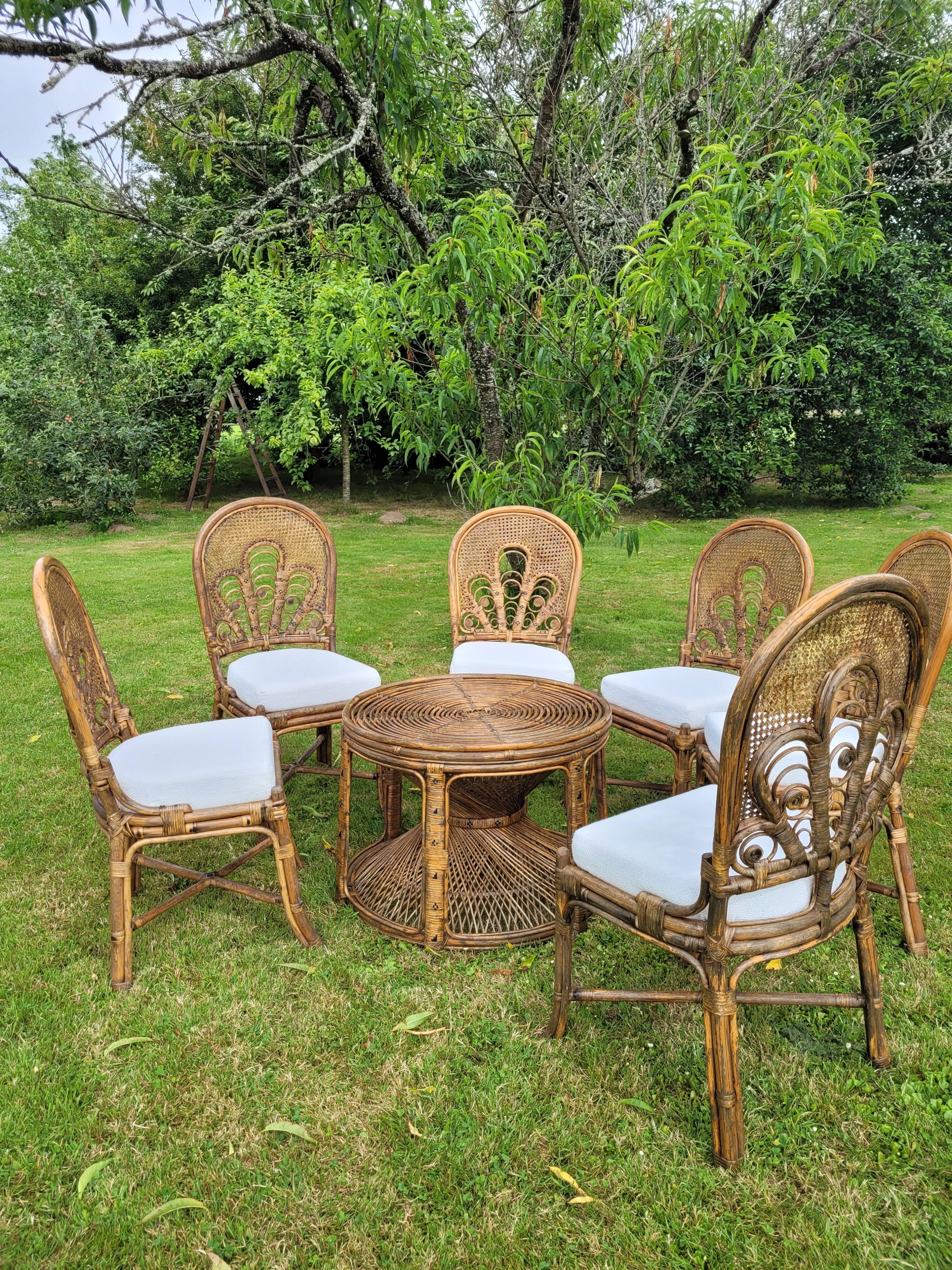 6 Vintage Emmanuelle Peacock Rattan Chairs