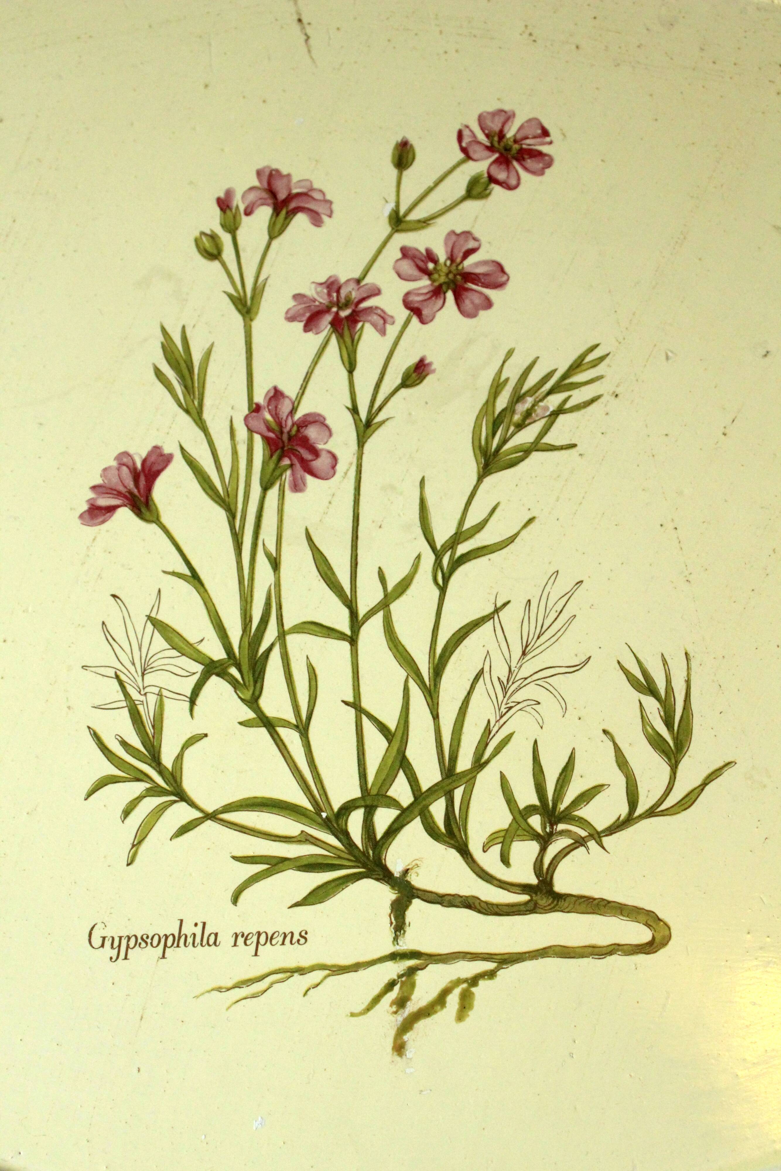 Florentine tray in white with floral decor, vintage
